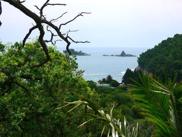 Апартаменты Apartments Villa Relax Петровац-36